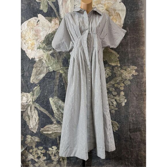 New Anthropologie The Tobie Button-Front Pleated Shirt Dress by Exquise Size Xs - Picture 11 of 12